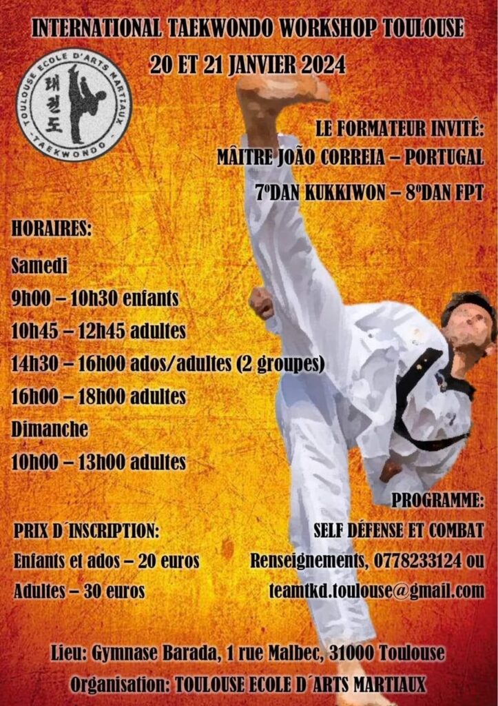 Stage International Taekwondo Joao affiche